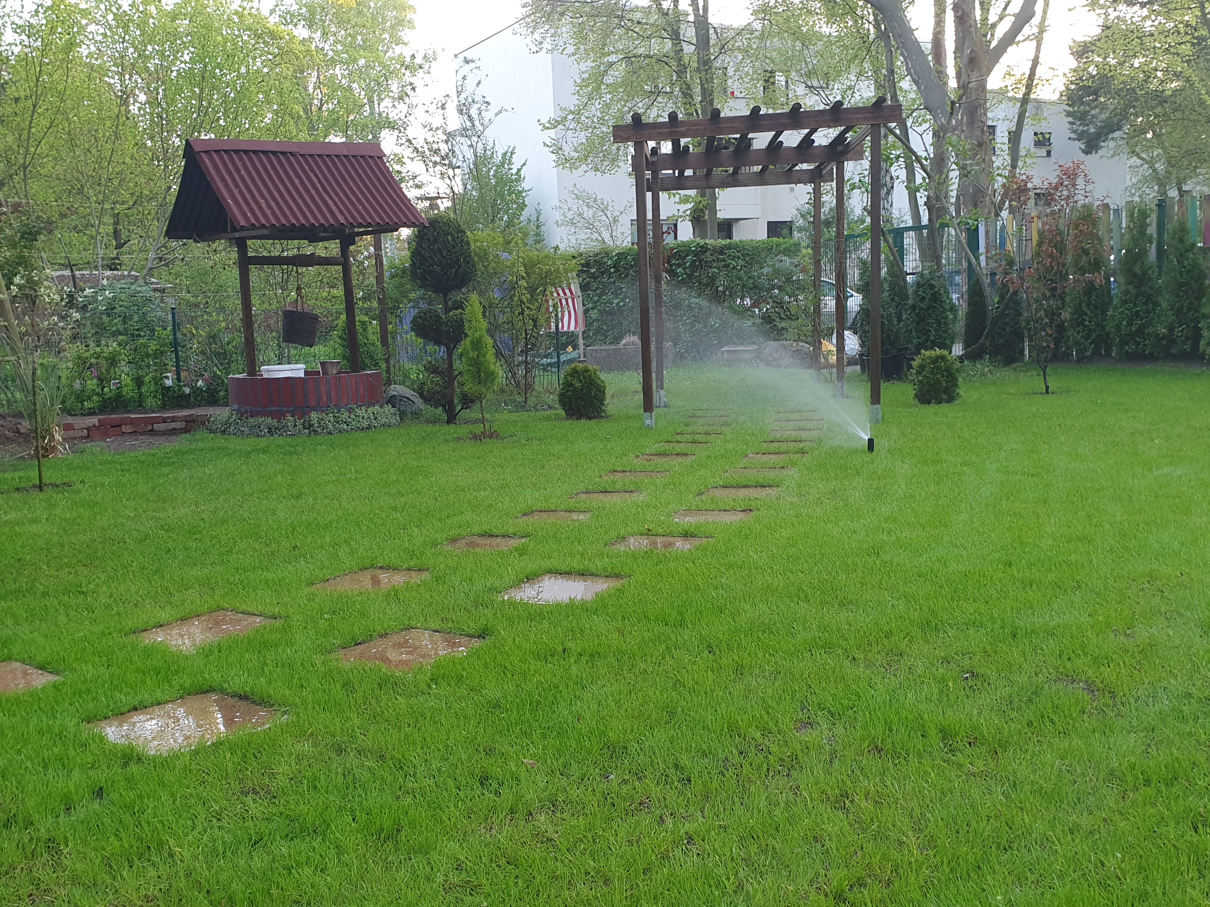 Versenksprinkler einer automatischen Bewässerung im Garten mit grünem Rasen und Plattenweg