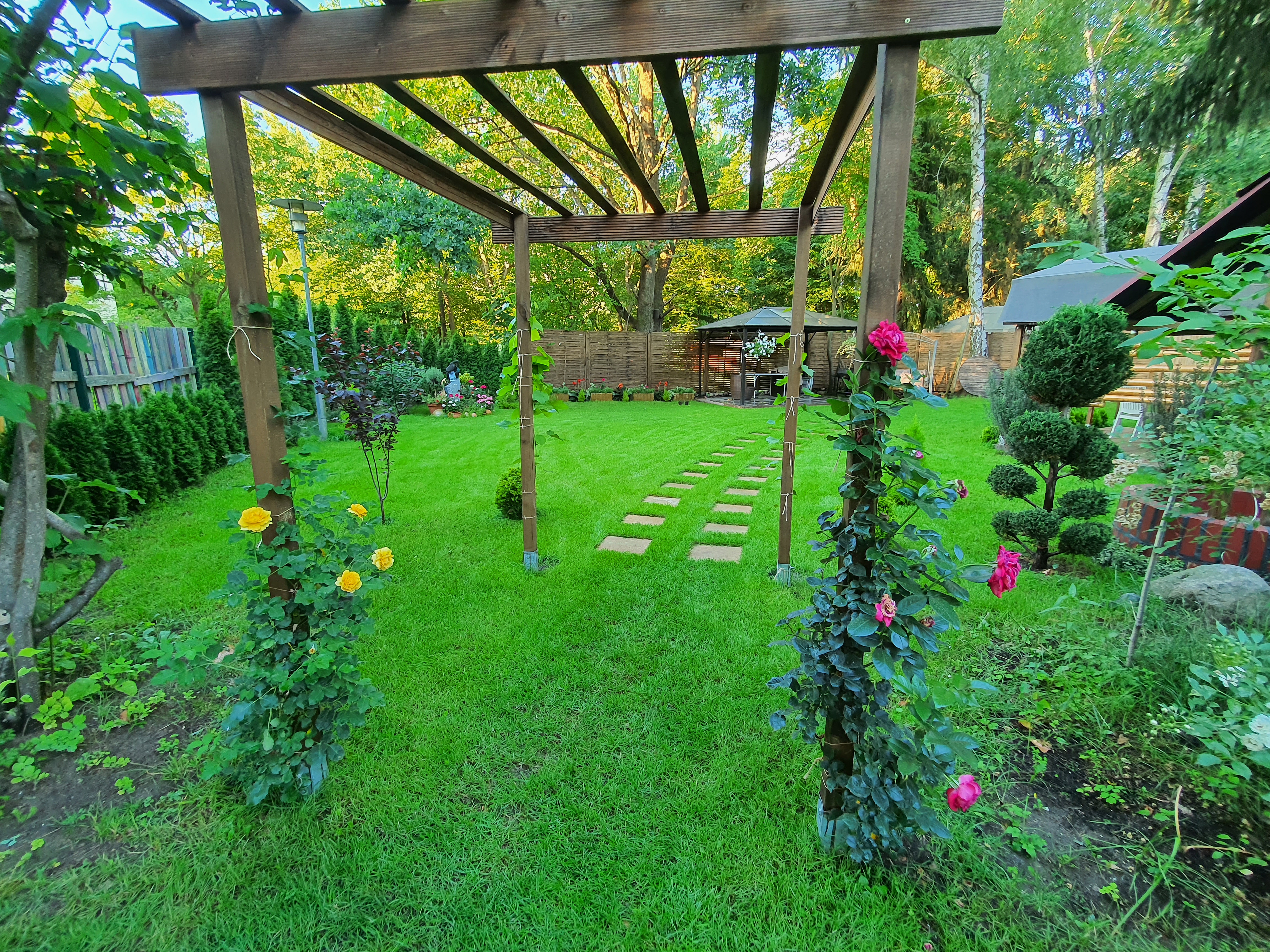 Moderner Garten mit automatischer Bewässerung von Jasmin Service Berlin