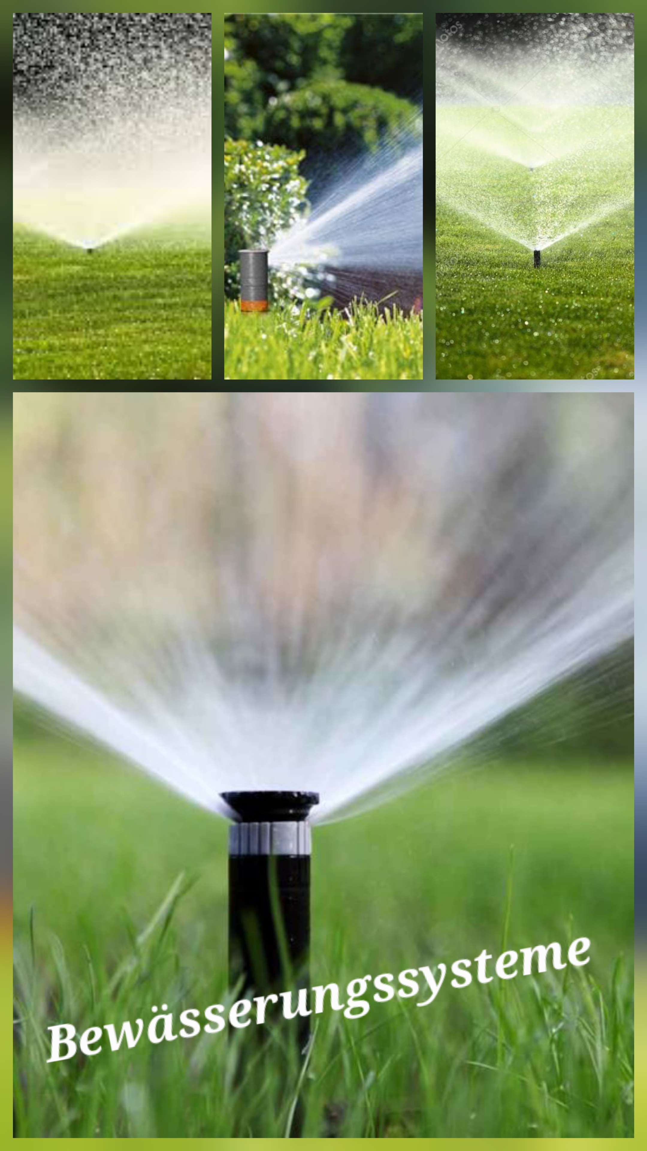 Versenksprinkler einer automatischen Bewässerung im Garten mit grünem Rasen und Plattenweg